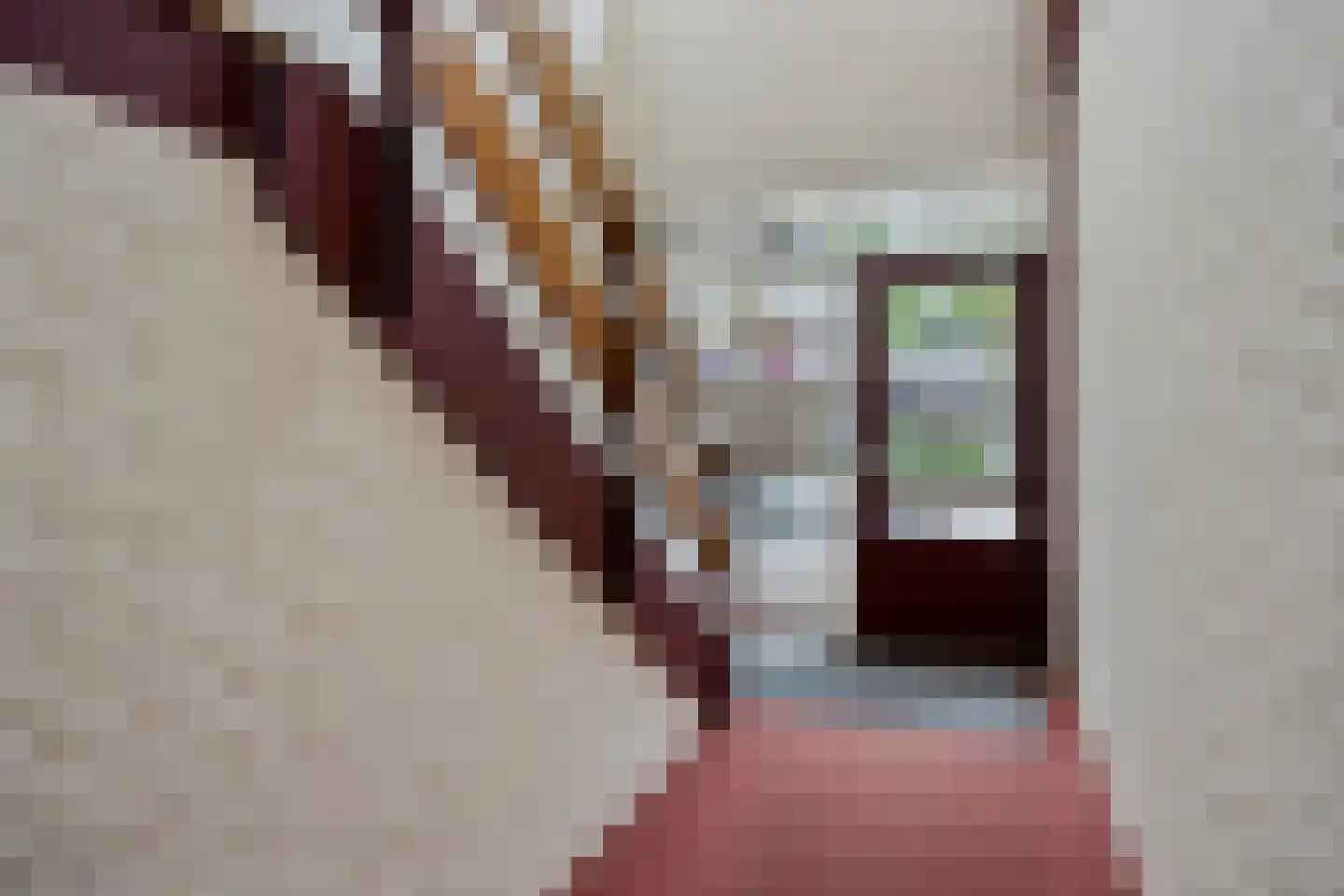 Vincent van Goghstraat 23 Nuenen thumbnail 10