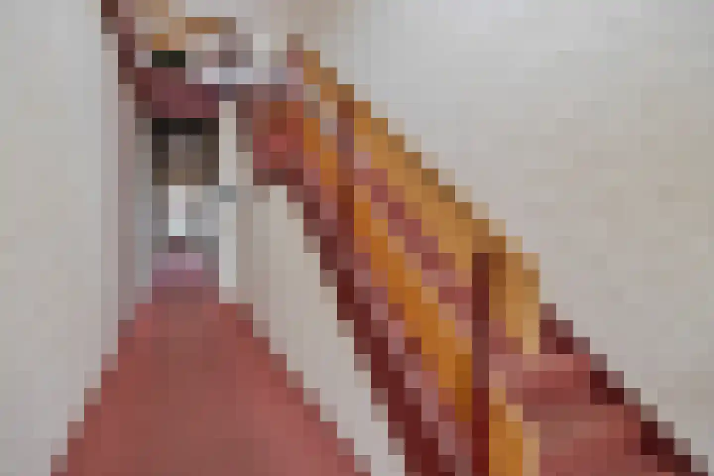 Vincent van Goghstraat 23 Nuenen thumbnail 11
