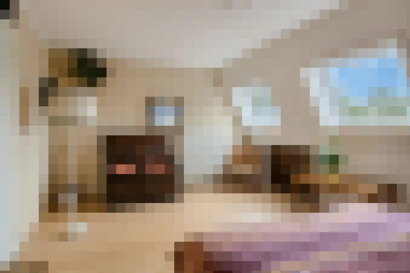Vincent van Goghstraat 23 Nuenen thumbnail 36