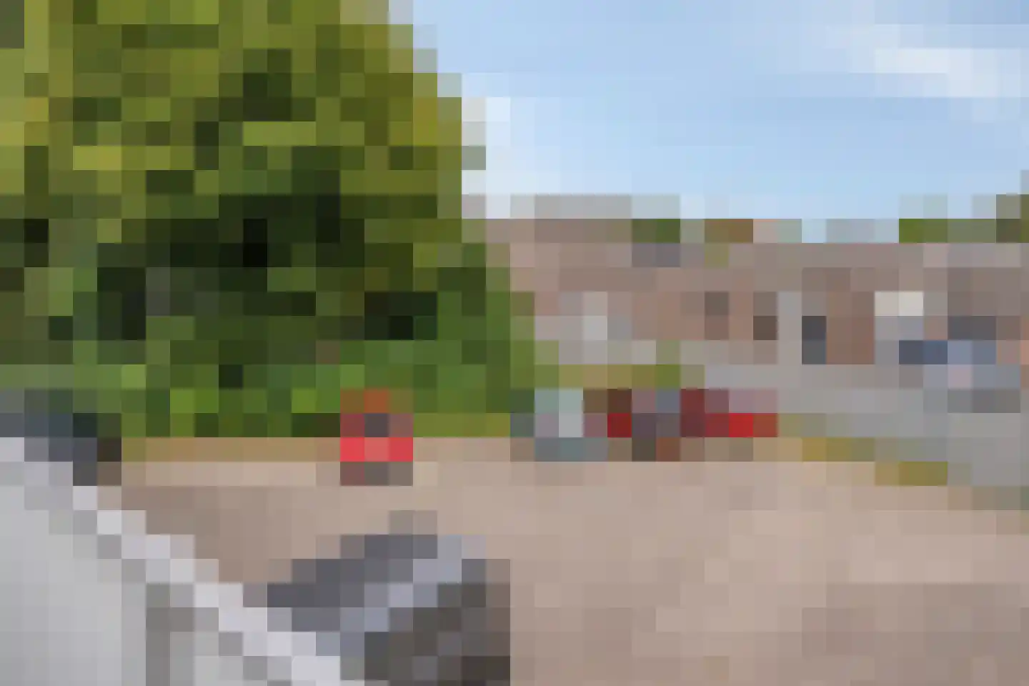 Vincent van Goghstraat 23 Nuenen thumbnail 44