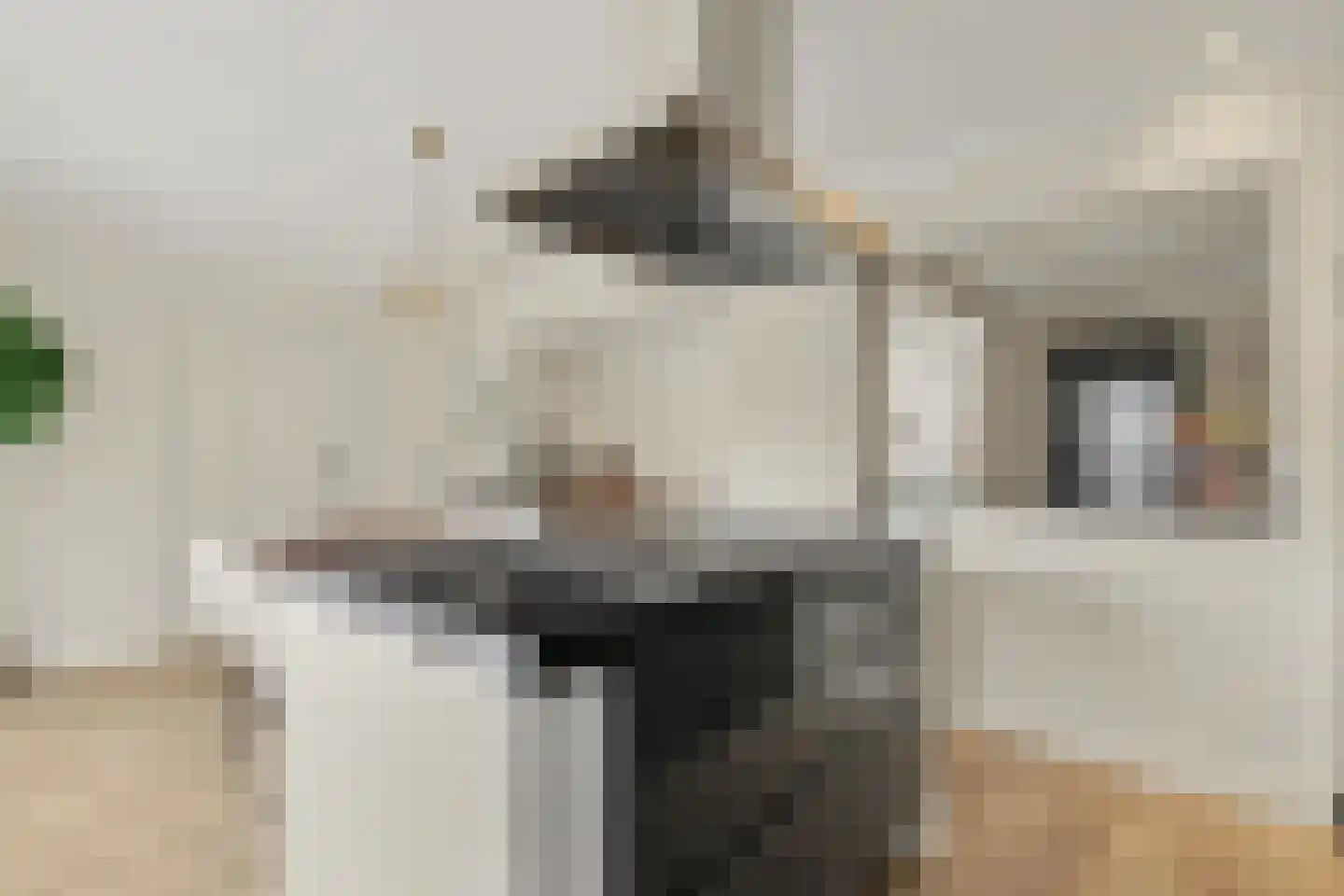 Vincent van Goghstraat 23 Raamsdonksveer thumbnail 10