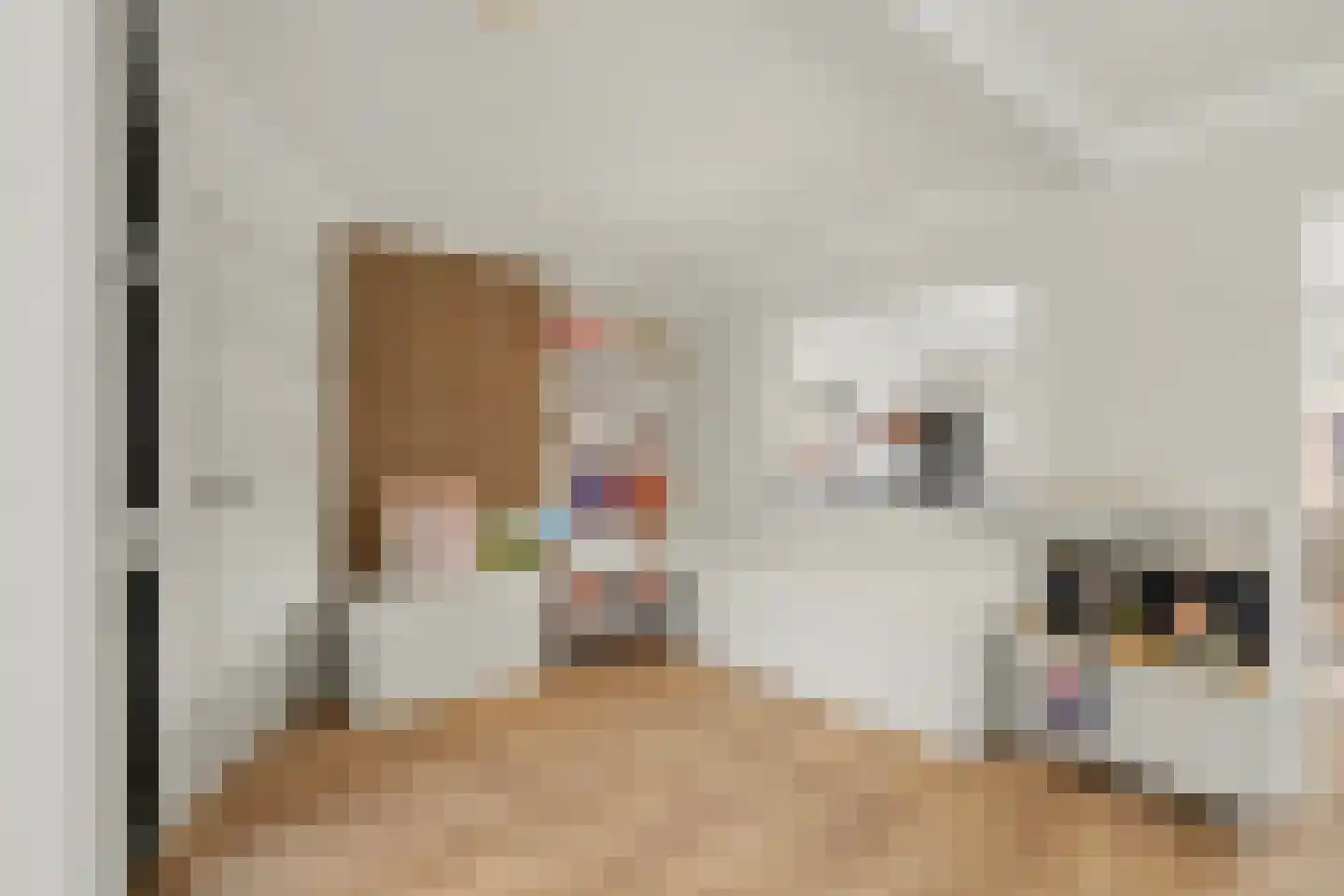 Vincent van Goghstraat 23 Raamsdonksveer thumbnail 12