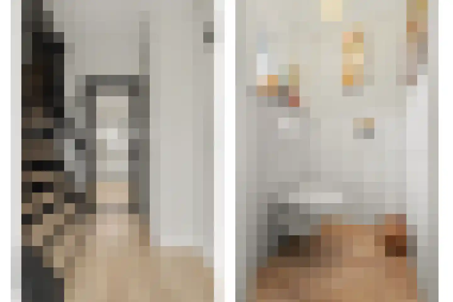 Vincent van Goghstraat 23 Raamsdonksveer thumbnail 14
