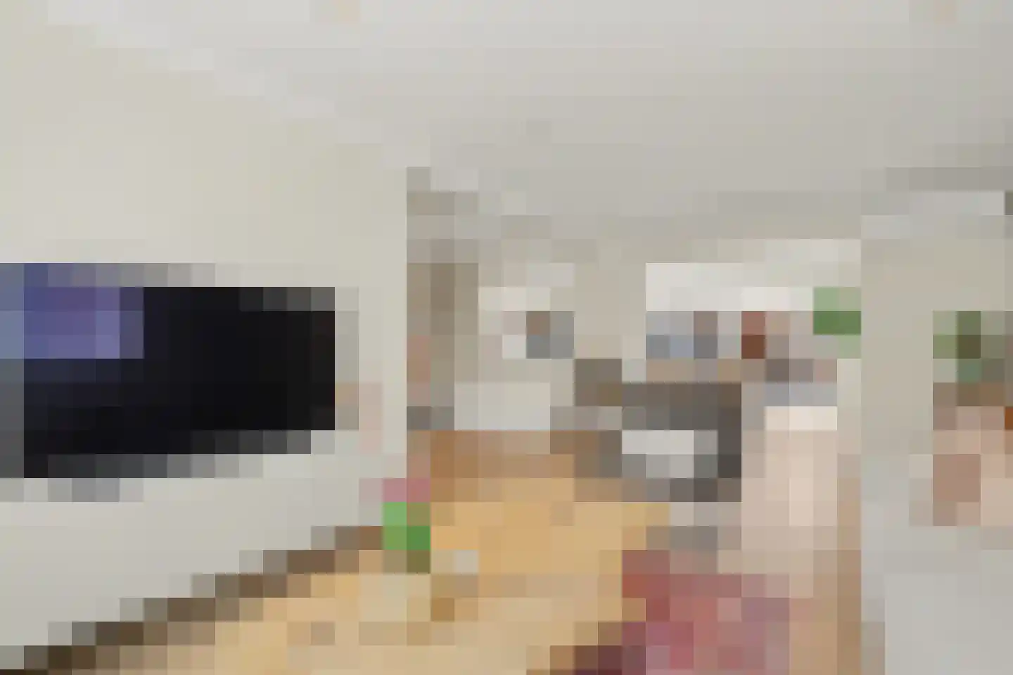 Vincent van Goghstraat 23 Raamsdonksveer thumbnail 16