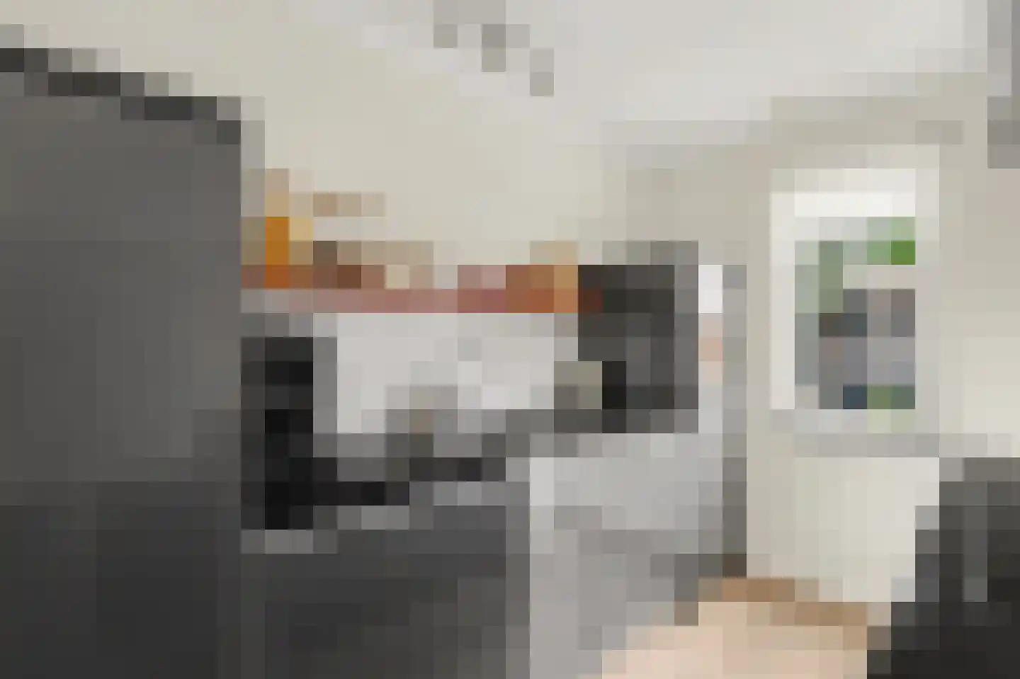 Vincent van Goghstraat 23 Raamsdonksveer thumbnail 18