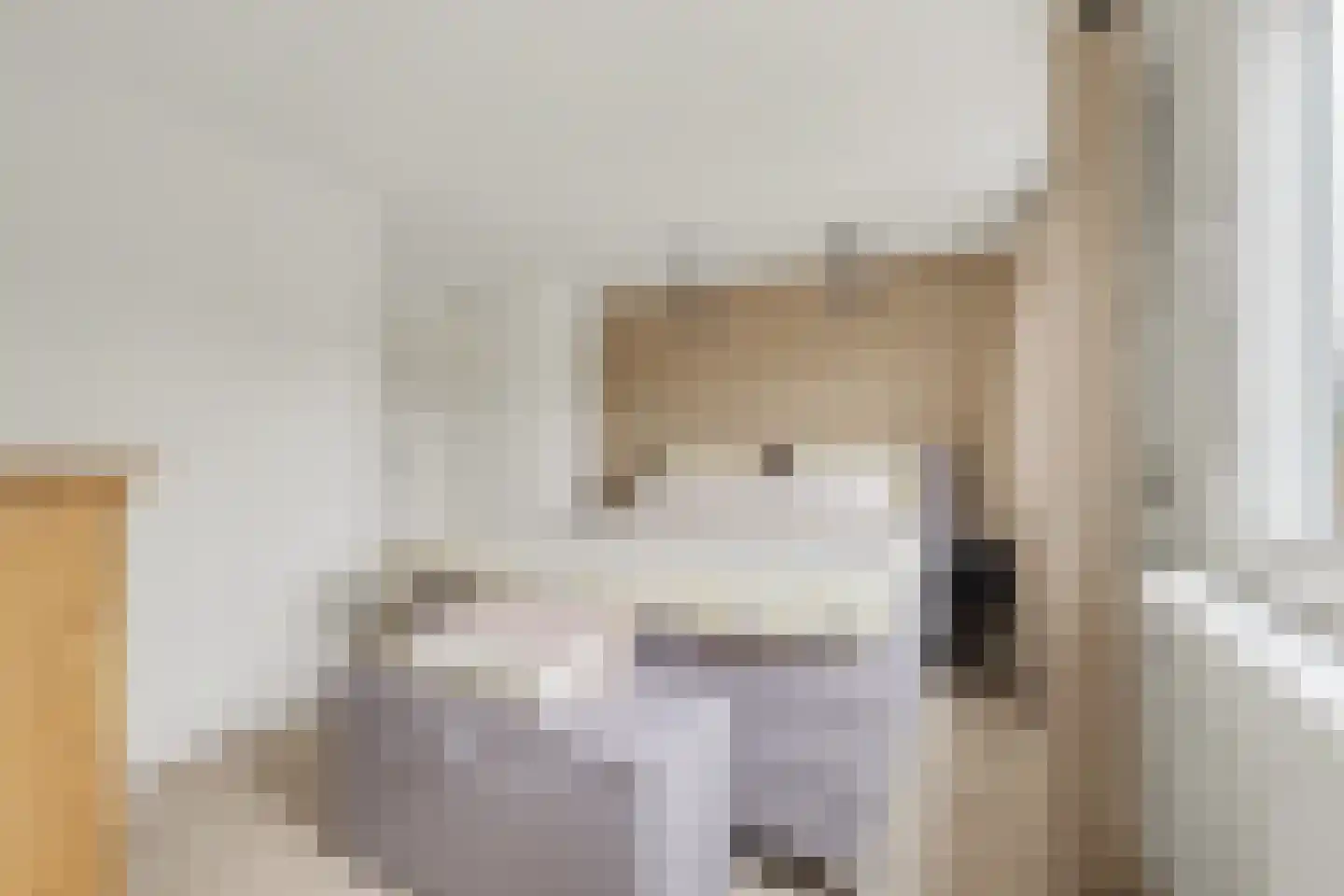 Vincent van Goghstraat 23 Raamsdonksveer thumbnail 25