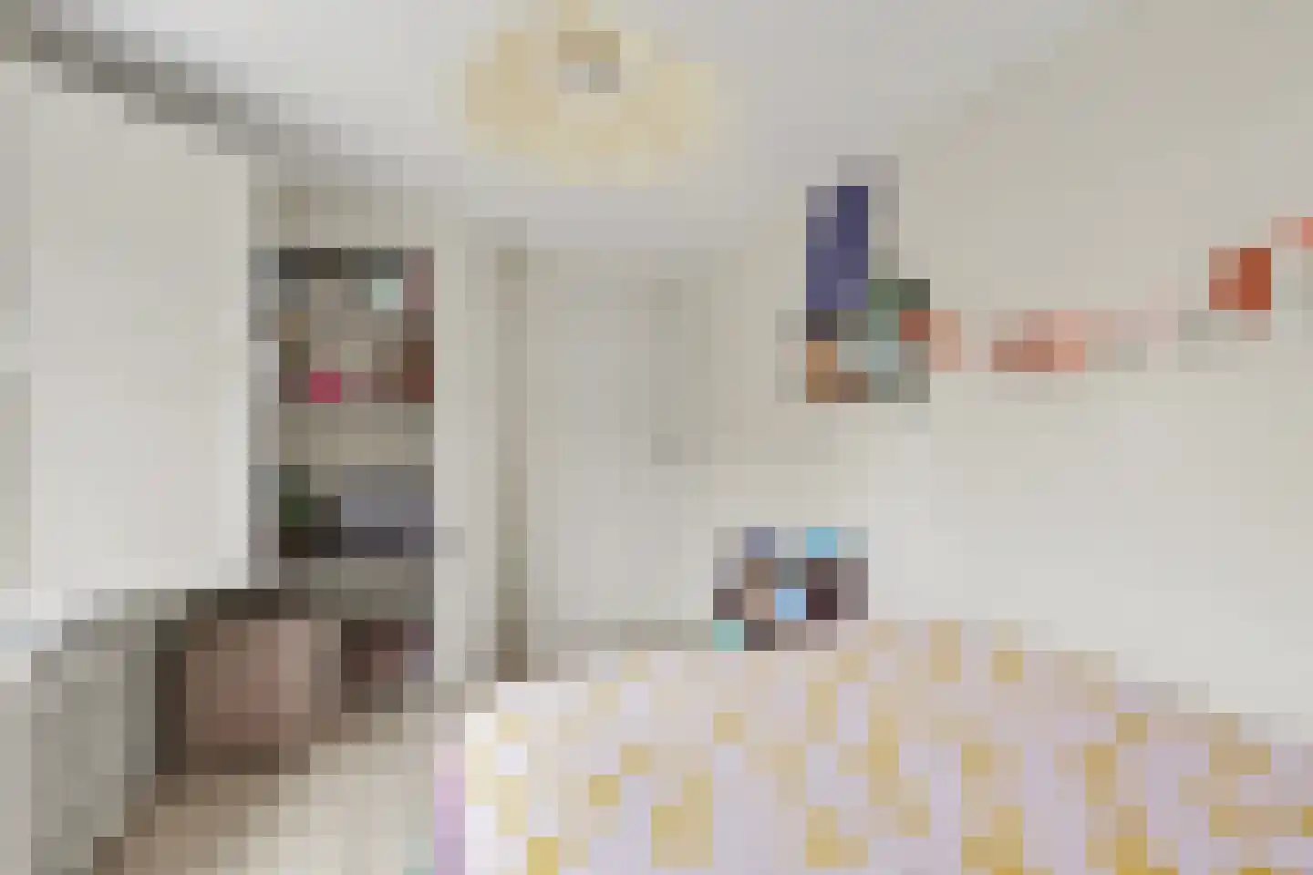 Vincent van Goghstraat 23 Raamsdonksveer thumbnail 31