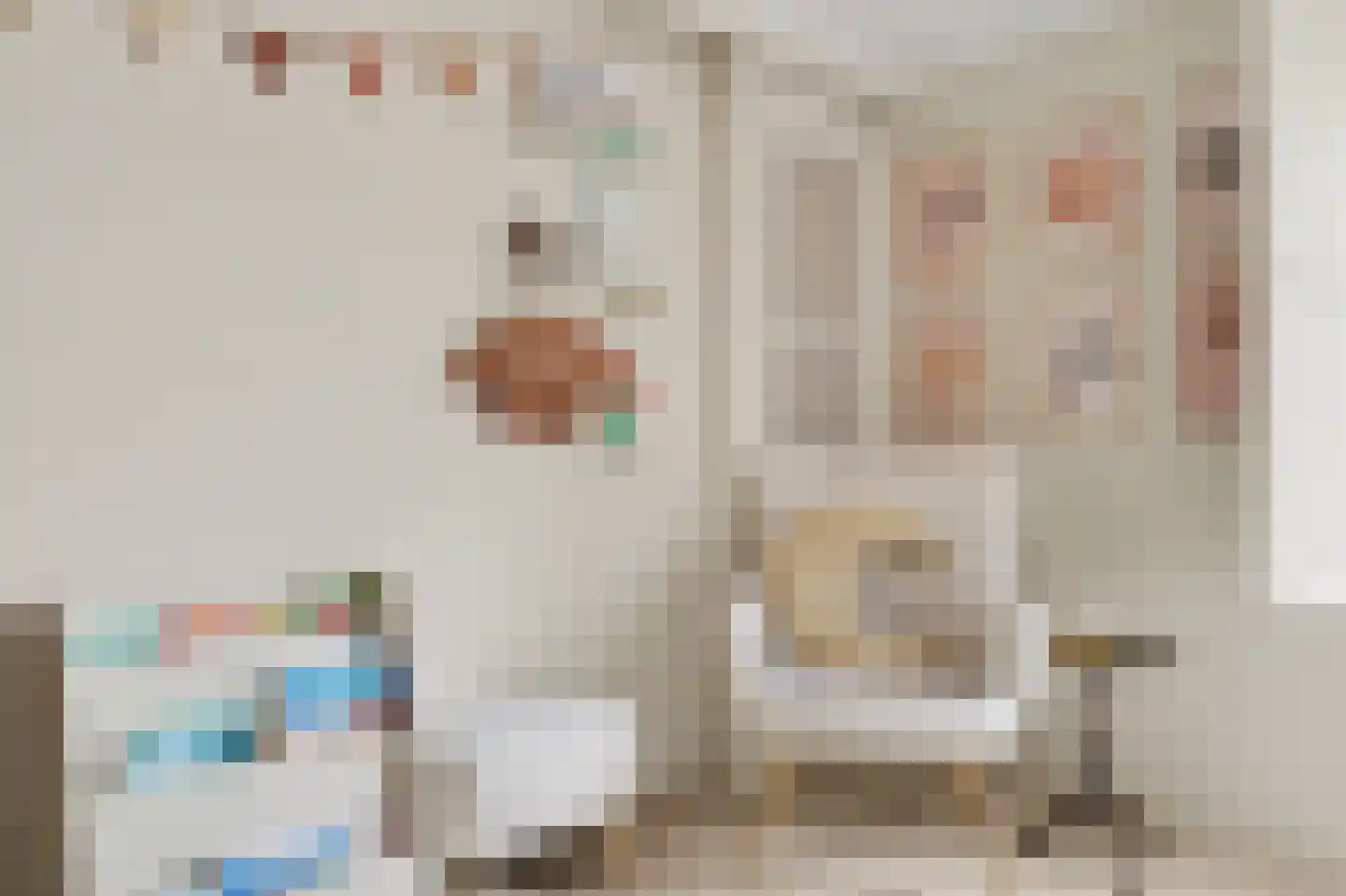 Vincent van Goghstraat 23 Raamsdonksveer thumbnail 32