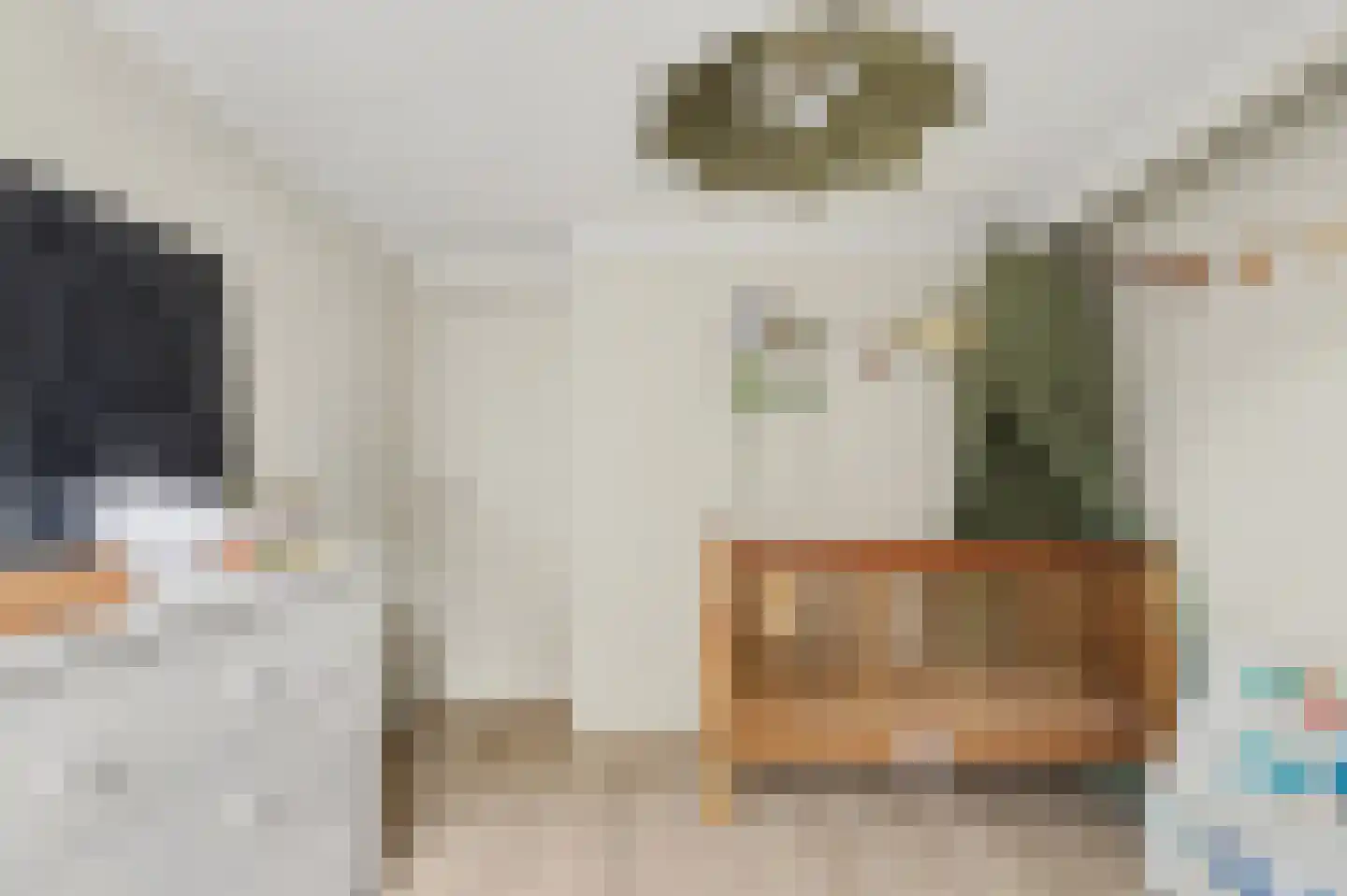 Vincent van Goghstraat 23 Raamsdonksveer thumbnail 34