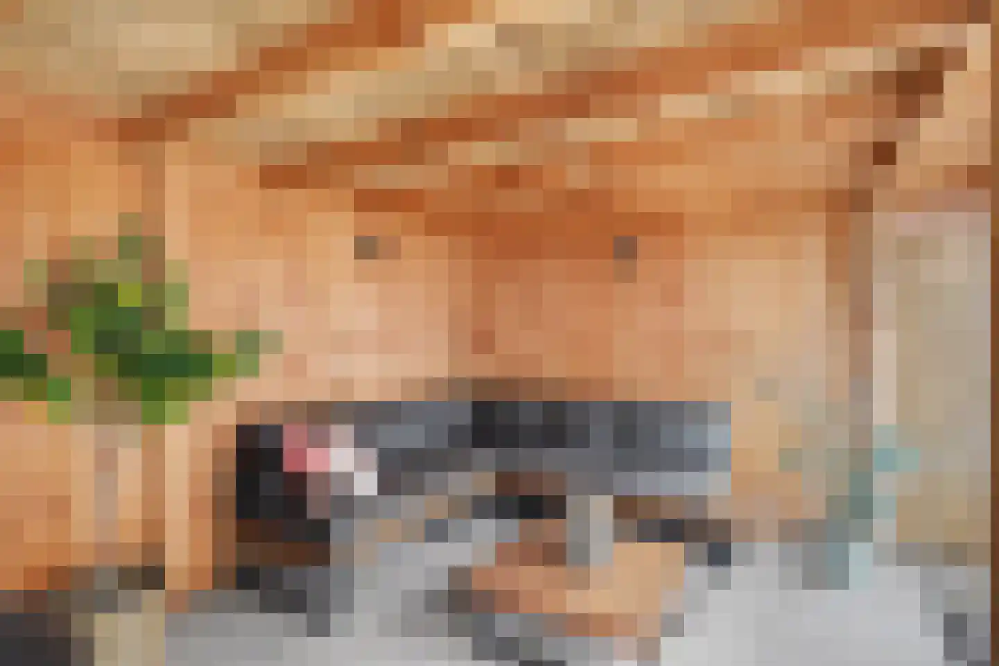 Vincent van Goghstraat 23 Raamsdonksveer thumbnail 42
