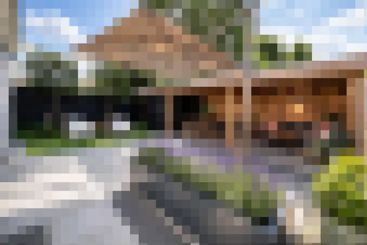 Vincent van Goghstraat 23 Raamsdonksveer thumbnail 43