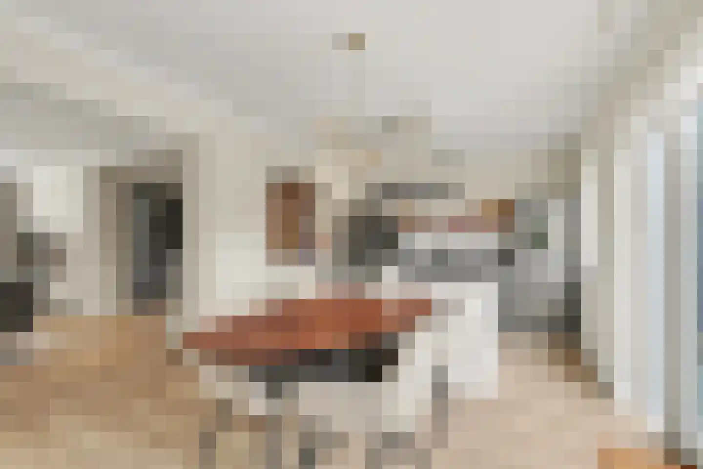 Vincent van Goghstraat 23 Raamsdonksveer thumbnail 5