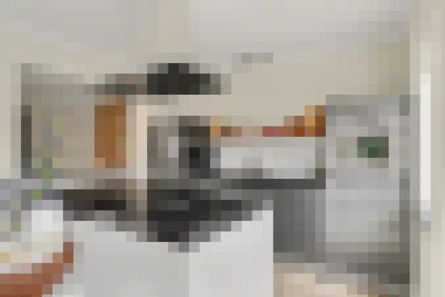 Vincent van Goghstraat 23 Raamsdonksveer thumbnail 7