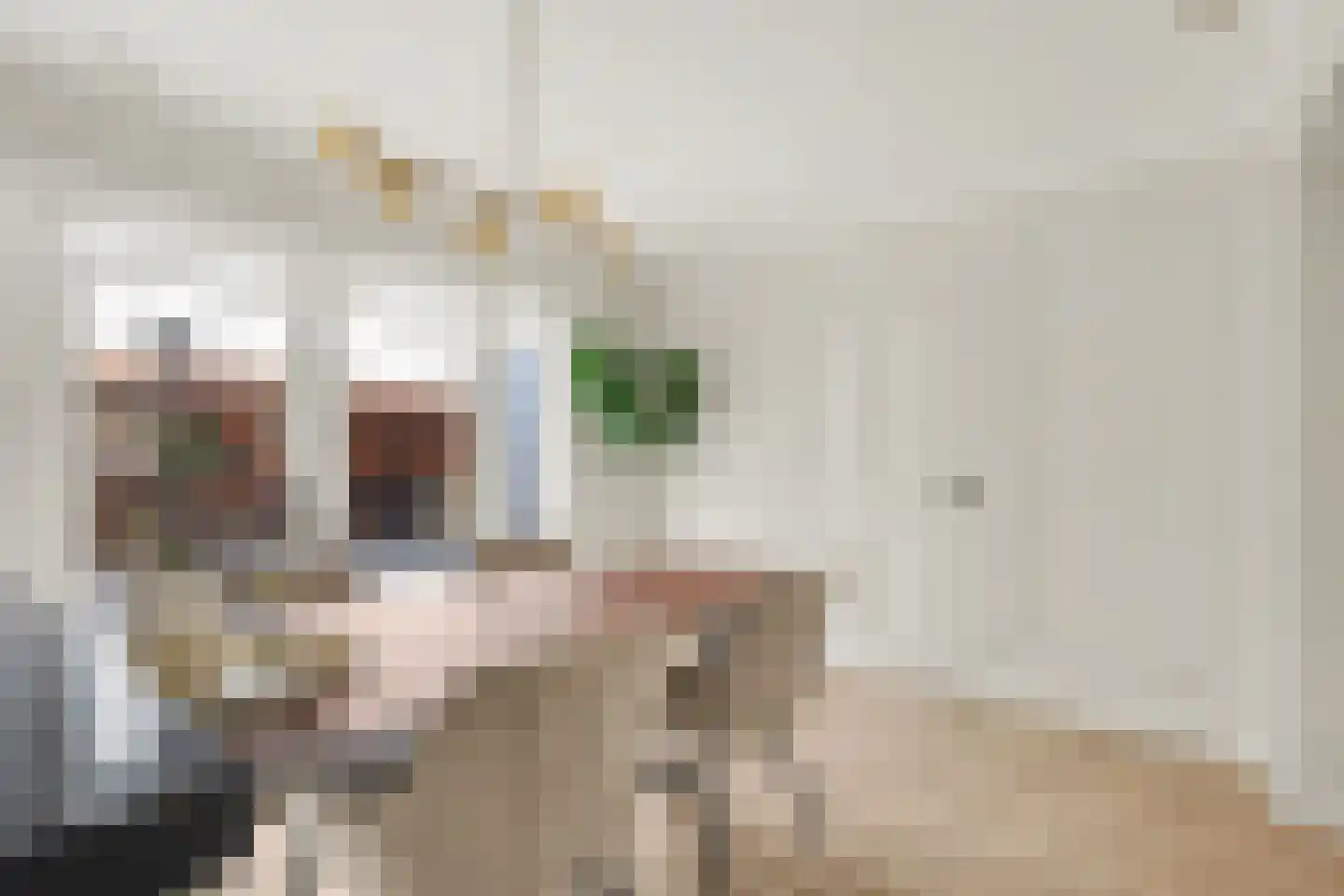 Vincent van Goghstraat 23 Raamsdonksveer thumbnail 8