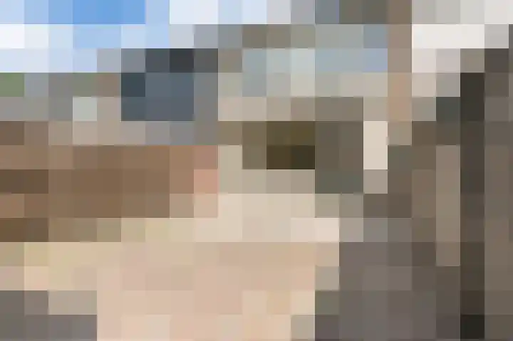 Vincent van Goghstraat 23 Zevenaar thumbnail 20