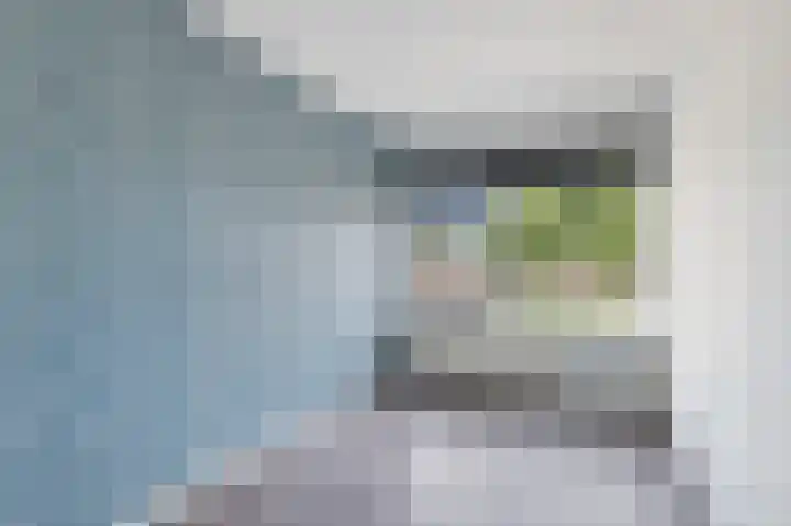 Vincent van Goghstraat 23 Zevenaar thumbnail 28