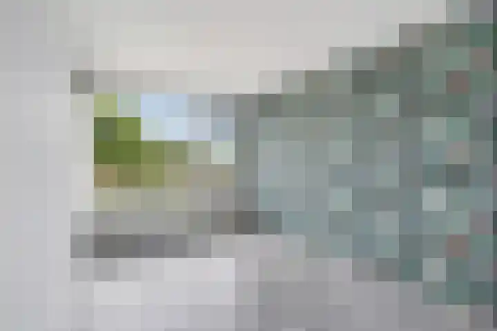 Vincent van Goghstraat 23 Zevenaar thumbnail 30