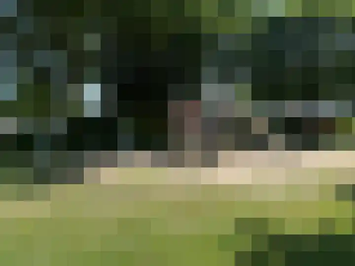 Vincent van Goghstraat 23 Zevenaar thumbnail 35