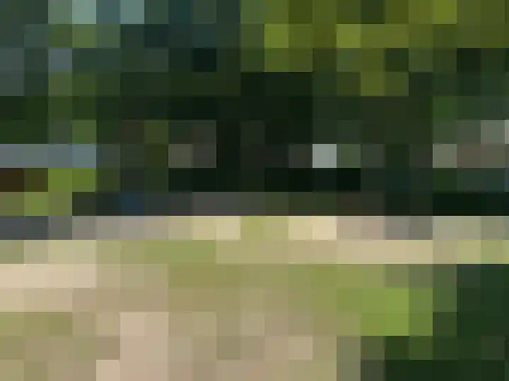 Vincent van Goghstraat 23 Zevenaar thumbnail 36