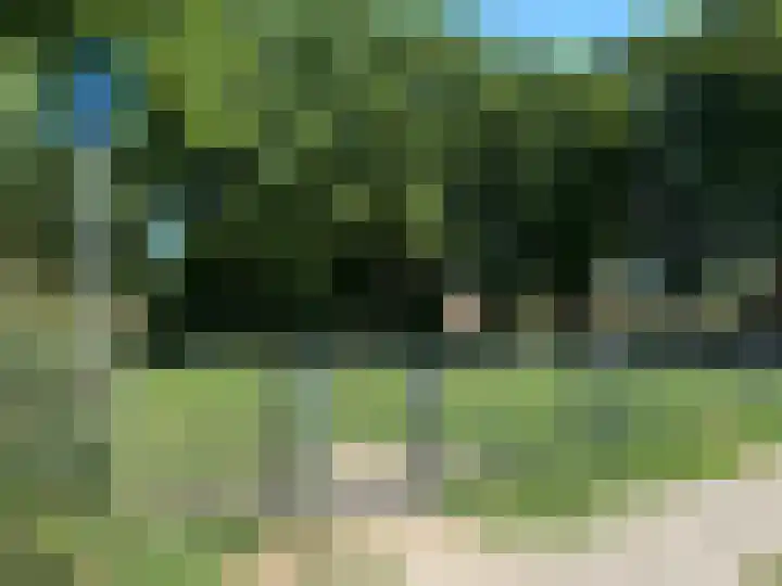 Vincent van Goghstraat 23 Zevenaar thumbnail 37