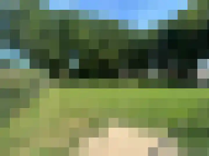 Vincent van Goghstraat 23 Zevenaar thumbnail 38