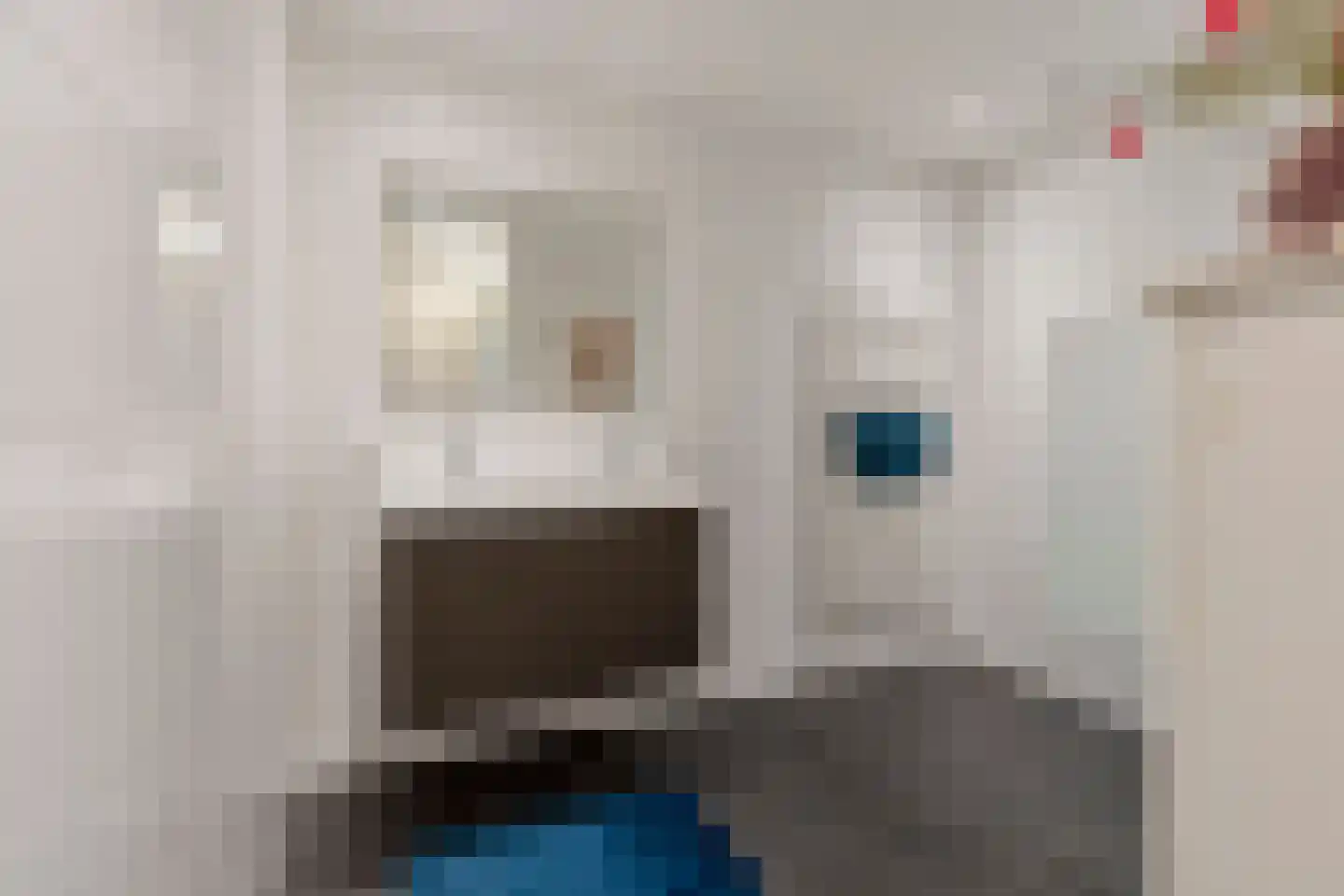 Vincent van Goghstraat 239 Nuenen thumbnail 17
