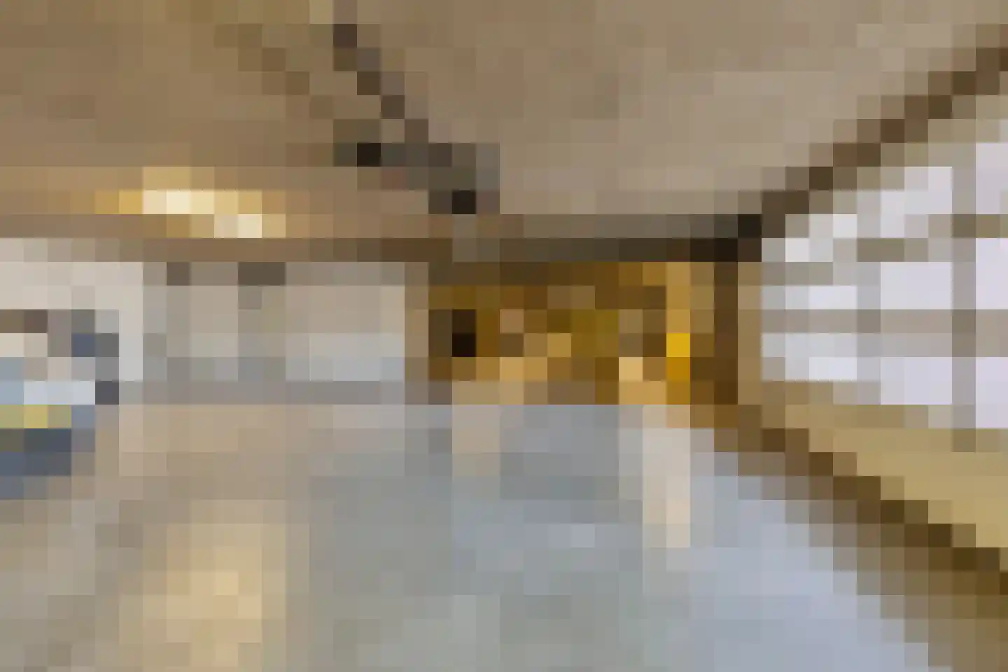 Vincent van Goghstraat 239 Nuenen thumbnail 20