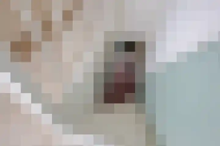 Vincent van Goghstraat 24 Leeuwarden thumbnail 22
