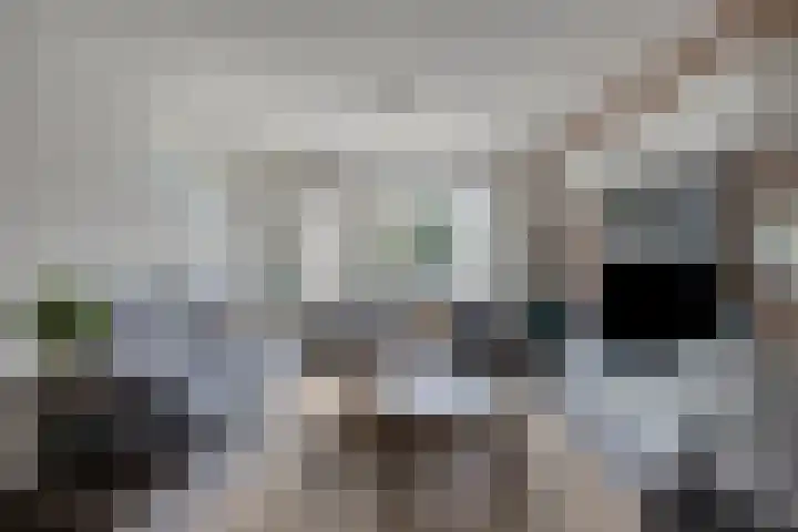 Vincent van Goghstraat 24 Reuver thumbnail 14