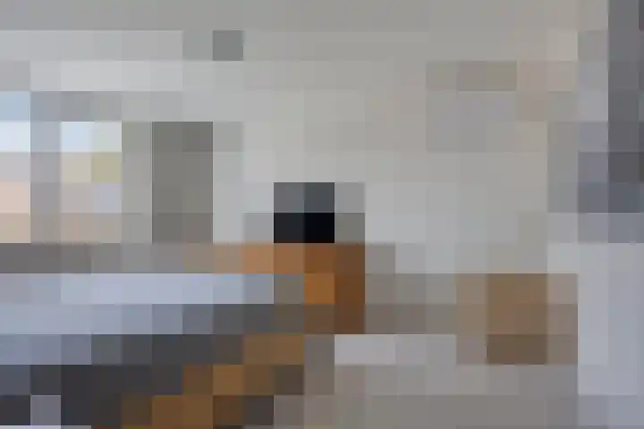 Vincent van Goghstraat 24 Reuver thumbnail 23