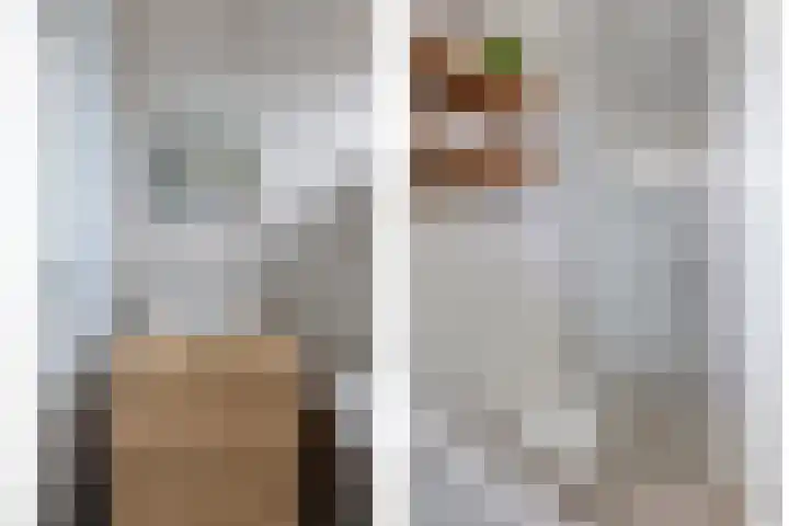 Vincent van Goghstraat 24 Reuver thumbnail 31