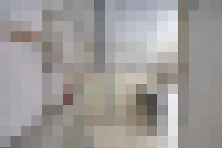 Vincent van Goghstraat 24 Reuver thumbnail 32