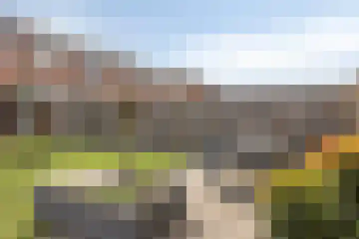 Vincent van Goghstraat 24 Reuver thumbnail 40