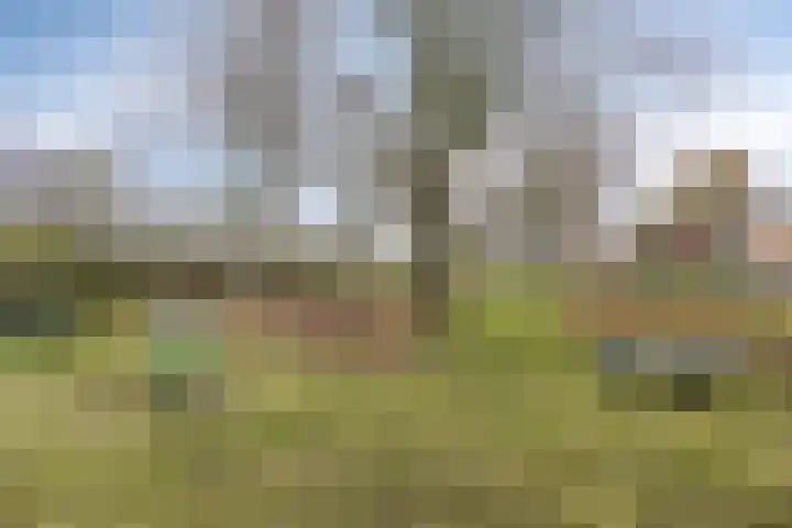 Vincent van Goghstraat 24 Reuver thumbnail 44