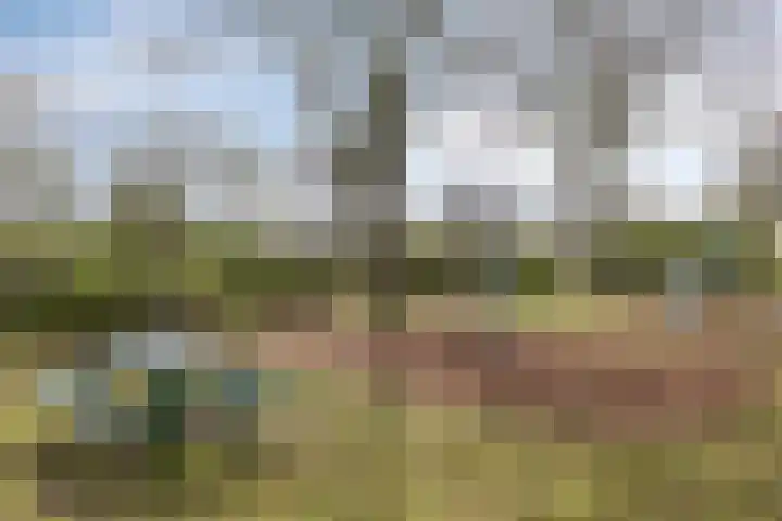 Vincent van Goghstraat 24 Reuver thumbnail 45