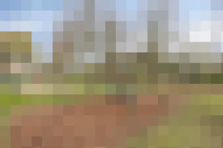 Vincent van Goghstraat 24 Reuver thumbnail 46