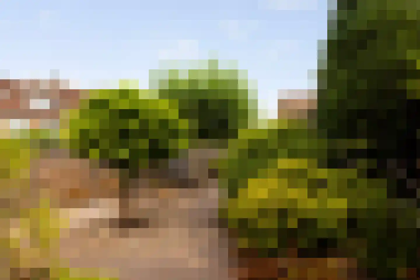 Vincent van Goghstraat 26 Zelhem thumbnail 21