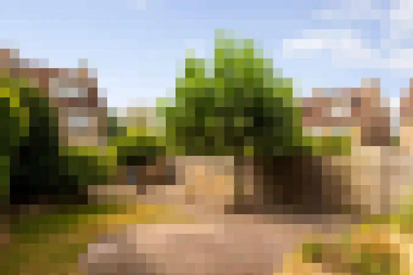 Vincent van Goghstraat 26 Zelhem thumbnail 23