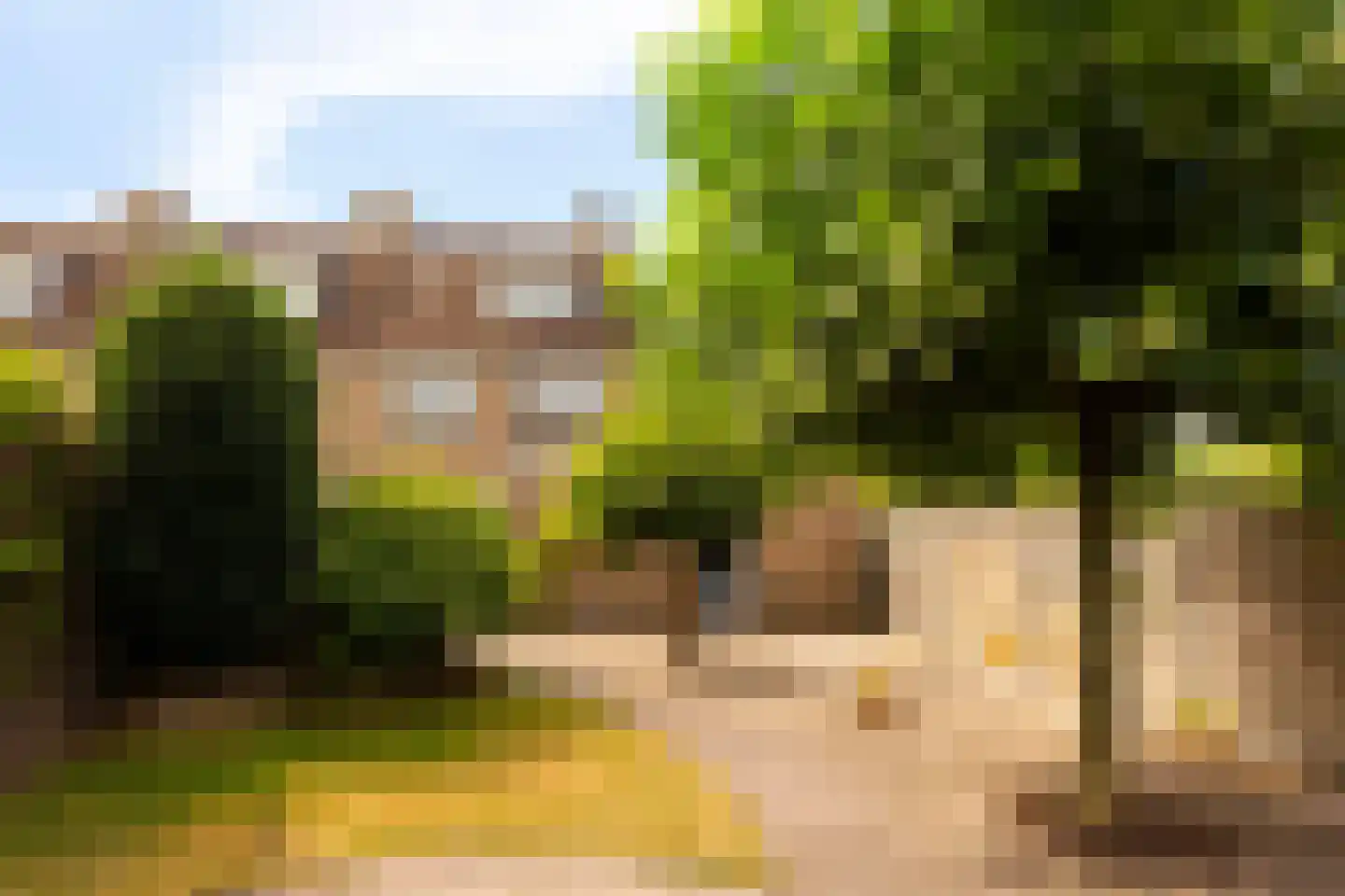 Vincent van Goghstraat 26 Zelhem thumbnail 4