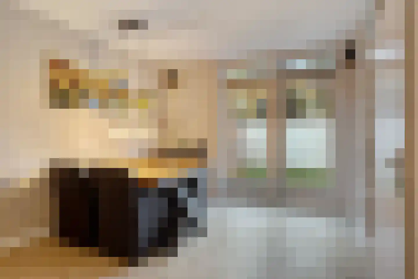 Vincent van Goghstraat 27 Nuenen thumbnail 14