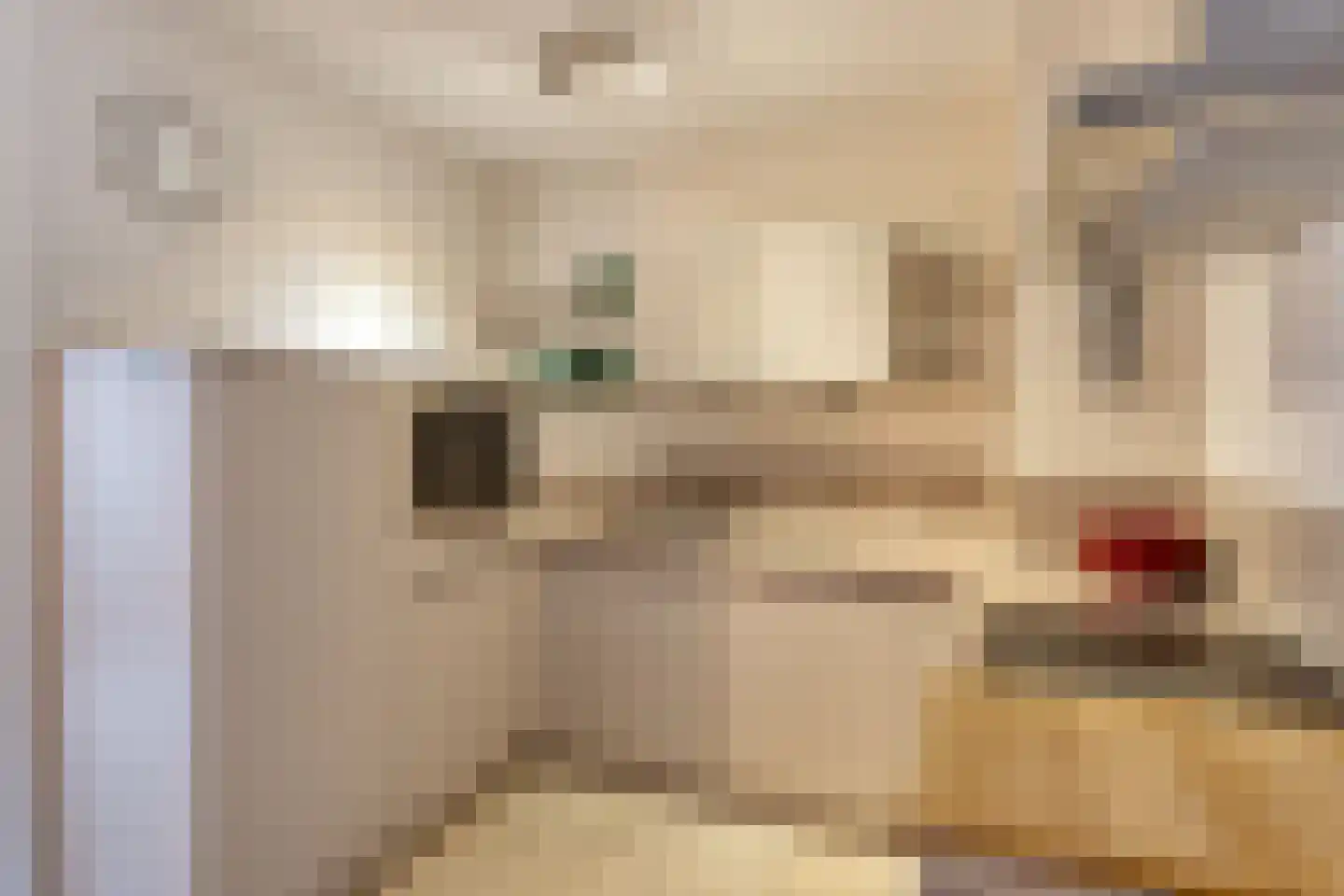 Vincent van Goghstraat 27 Nuenen thumbnail 17