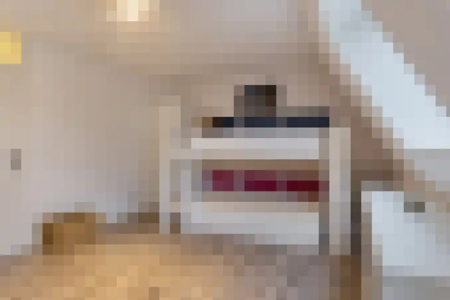Vincent van Goghstraat 27 Nuenen thumbnail 35