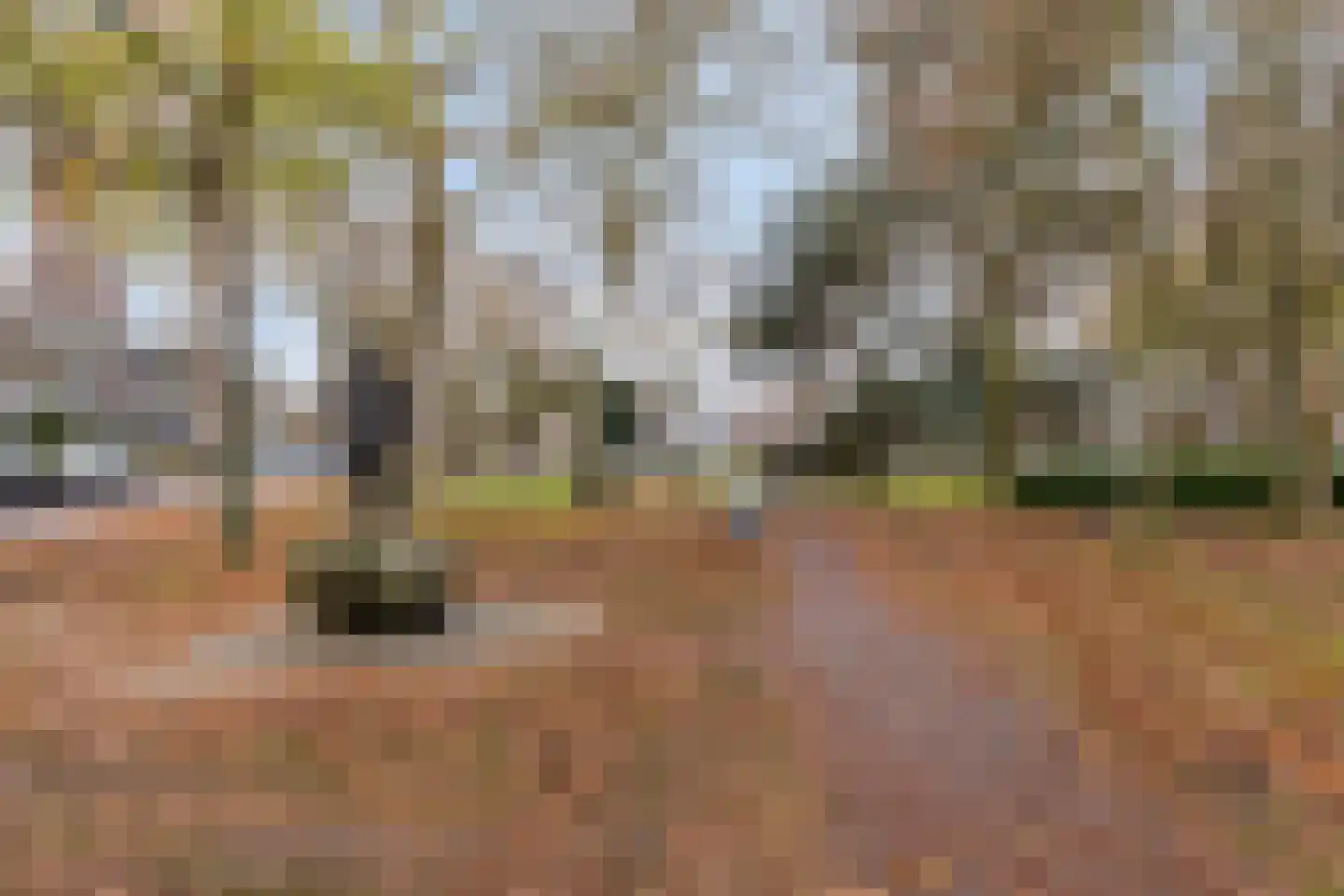 Vincent van Goghstraat 27 Nuenen thumbnail 42