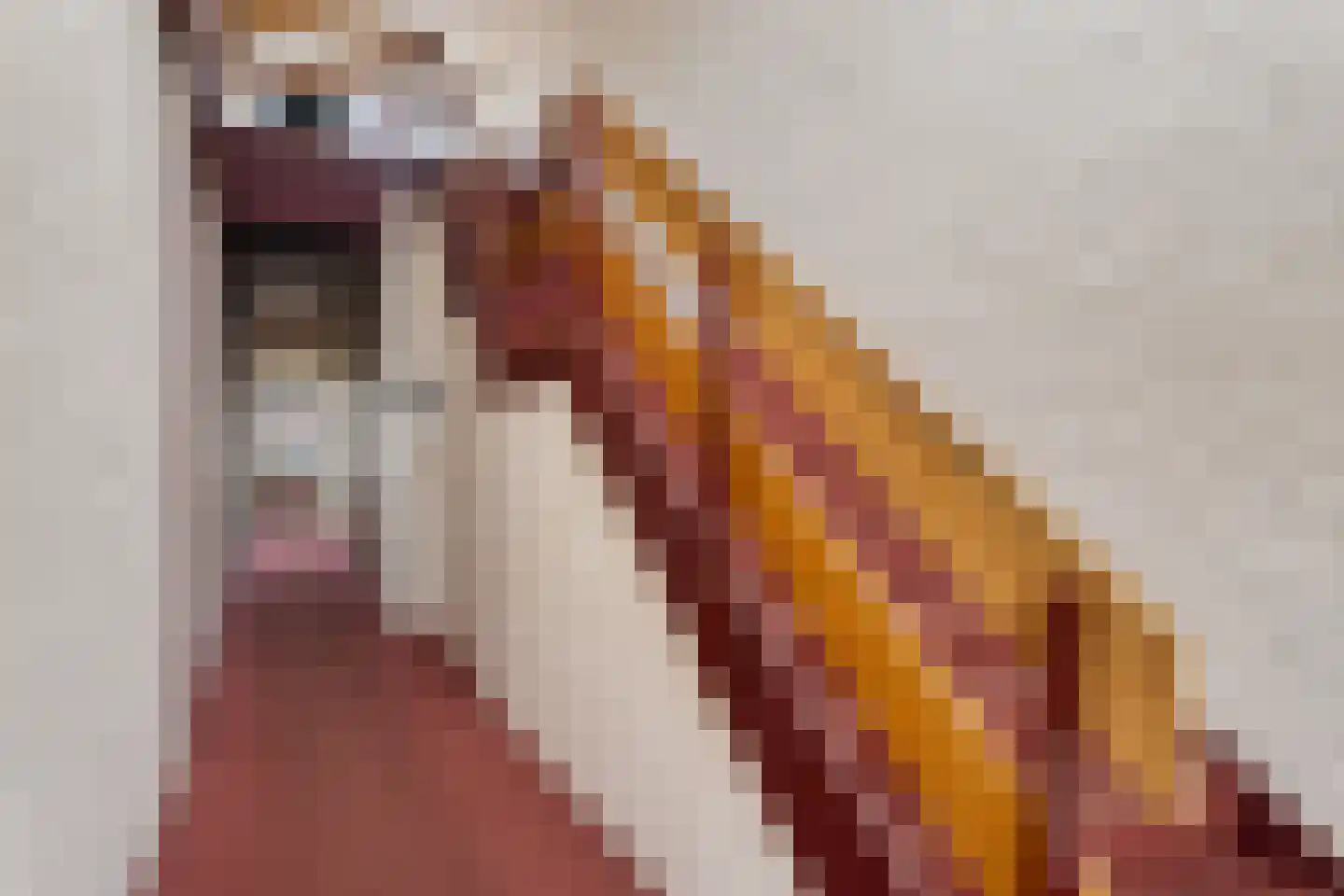 Vincent van Goghstraat 27 Nuenen thumbnail 8