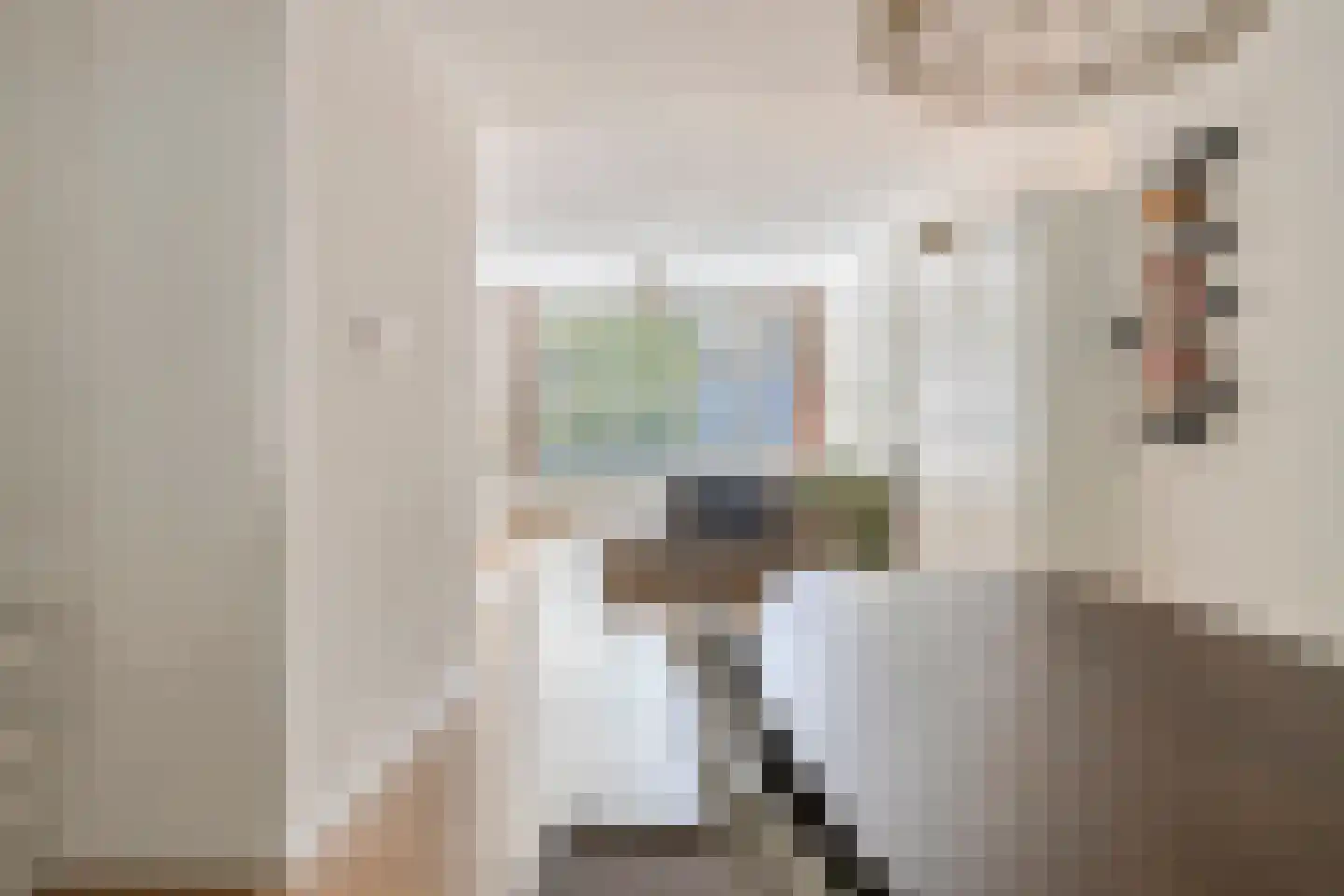Vincent van Goghstraat 28 Terneuzen thumbnail 16