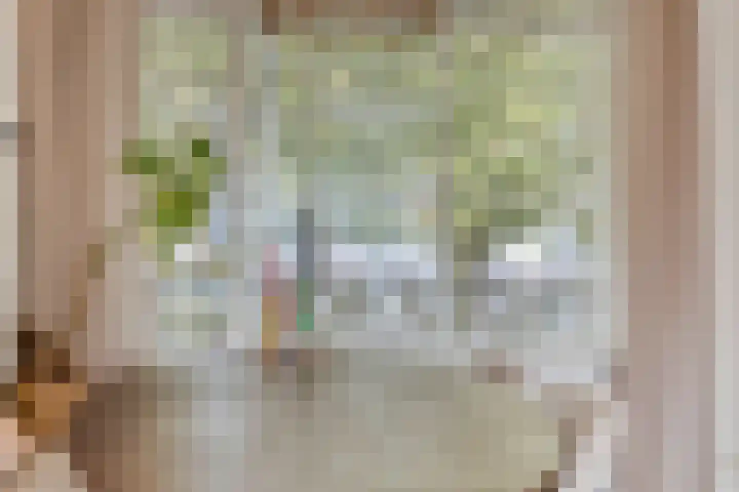 Vincent van Goghstraat 28 Terneuzen thumbnail 18
