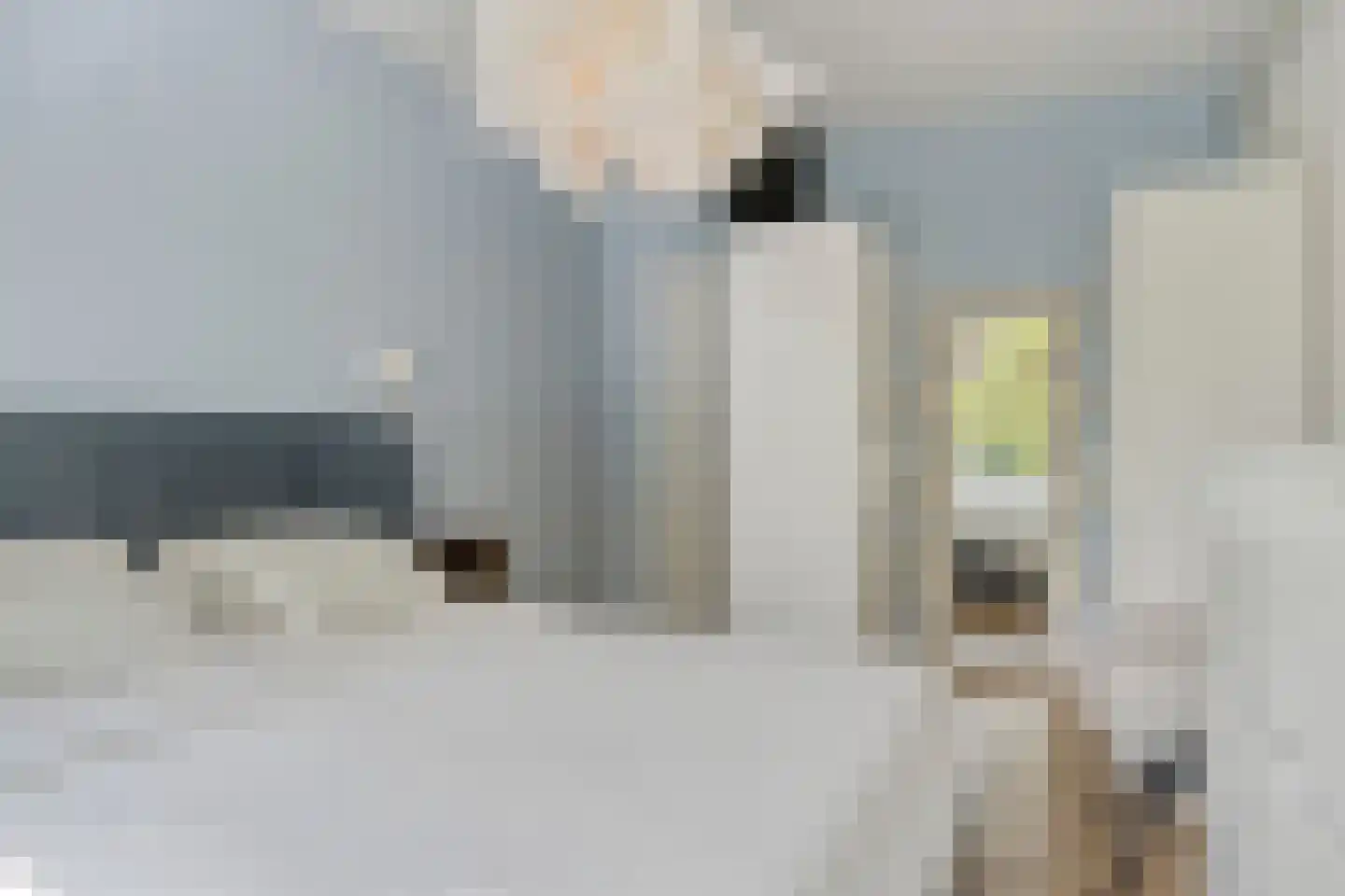 Vincent van Goghstraat 28 Terneuzen thumbnail 30