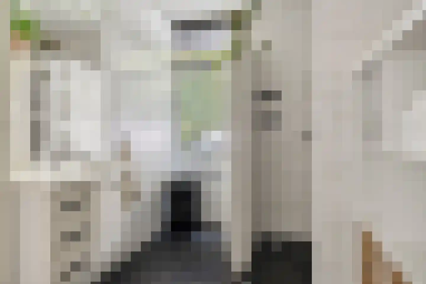 Vincent van Goghstraat 28 Terneuzen thumbnail 31