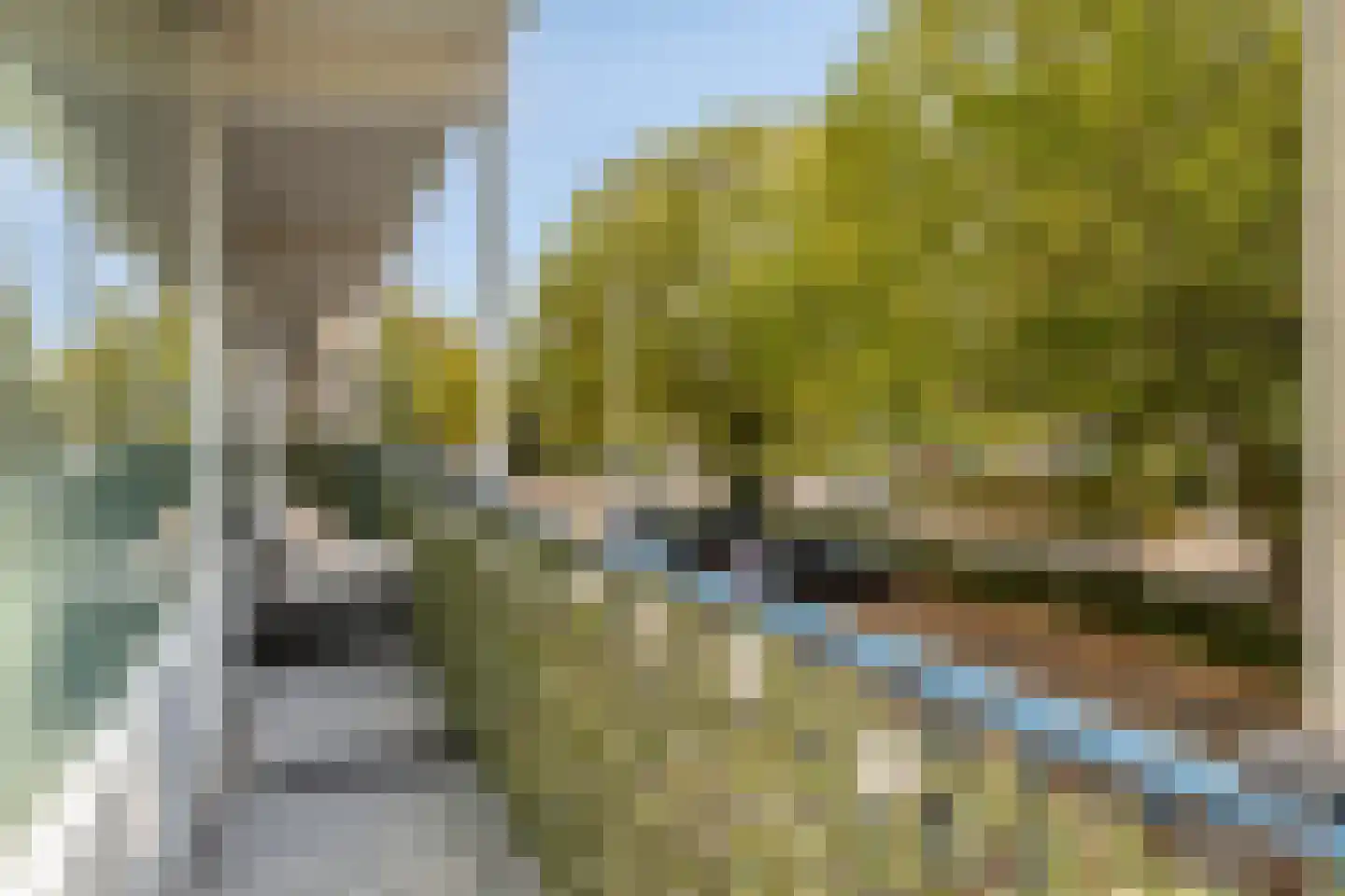 Vincent van Goghstraat 28 Terneuzen thumbnail 35