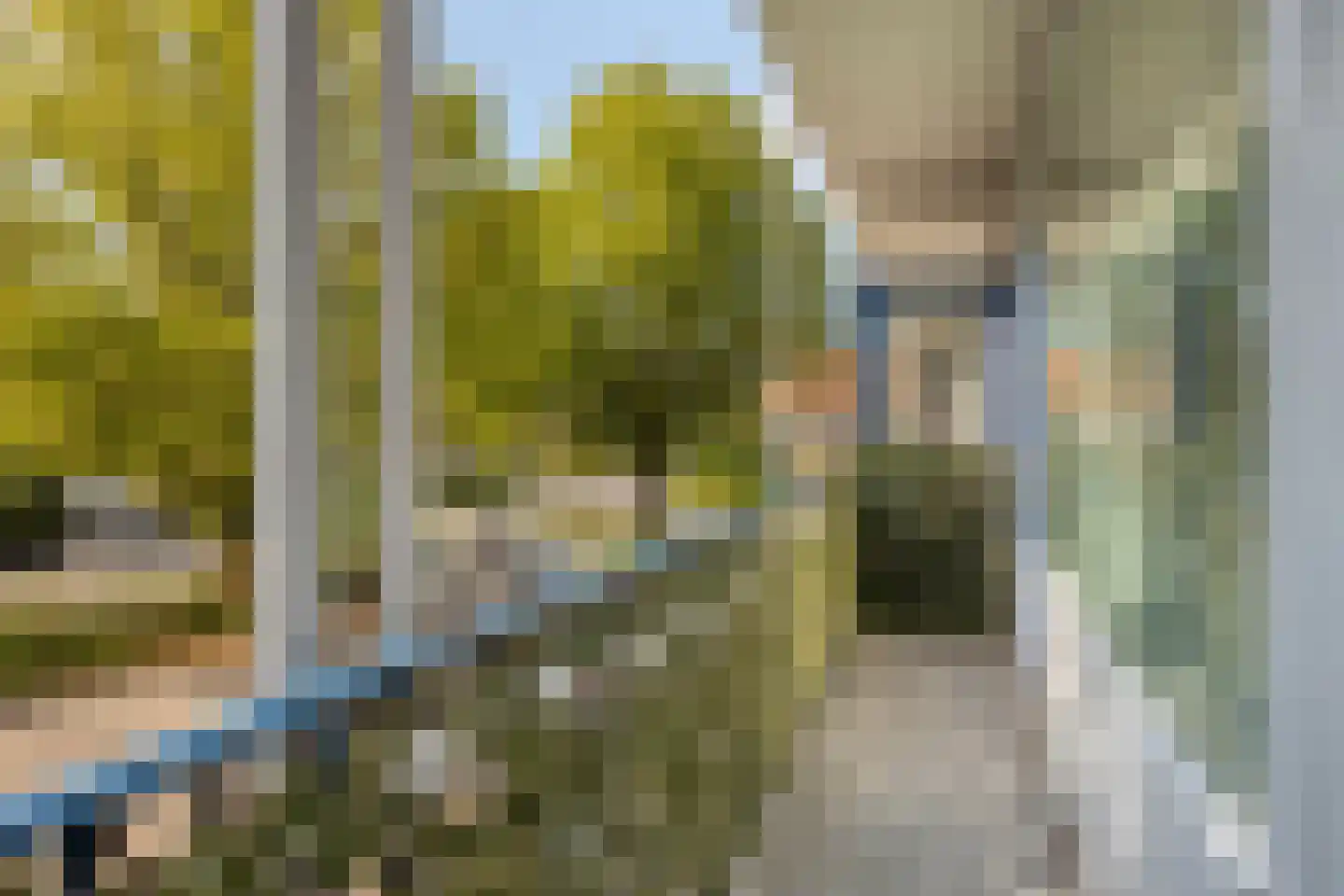 Vincent van Goghstraat 28 Terneuzen thumbnail 36